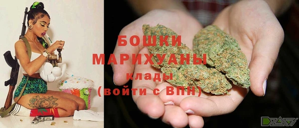 трава Туринск