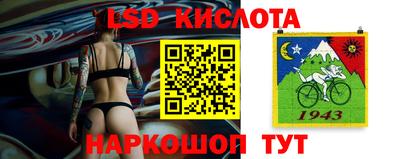 прущие грибы Ирбит