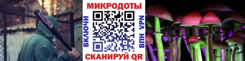 Псилоцибиновые грибы Magic Shrooms  Тайшет 
