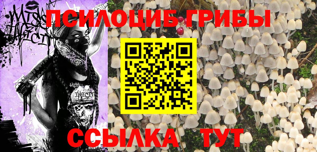 Псилоцибиновые грибы Magic Shrooms  Тайшет 