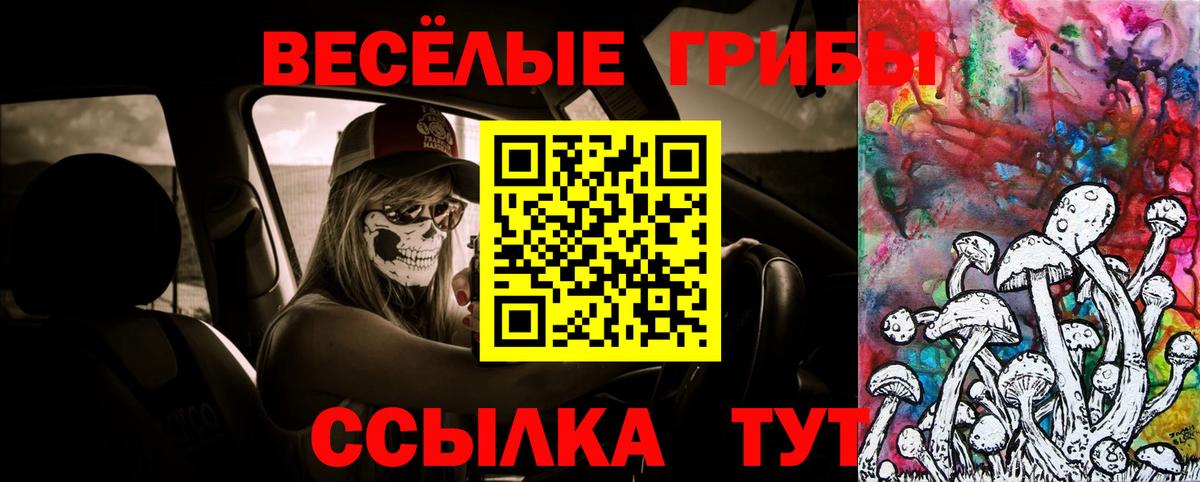 Галлюциногенные грибы Magic Shrooms  Вход с VPN  наркошоп  Тайшет 