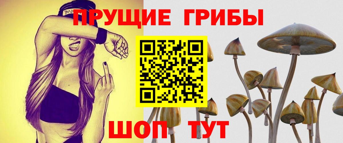 Псилоцибиновые грибы ЛСД Тайшет