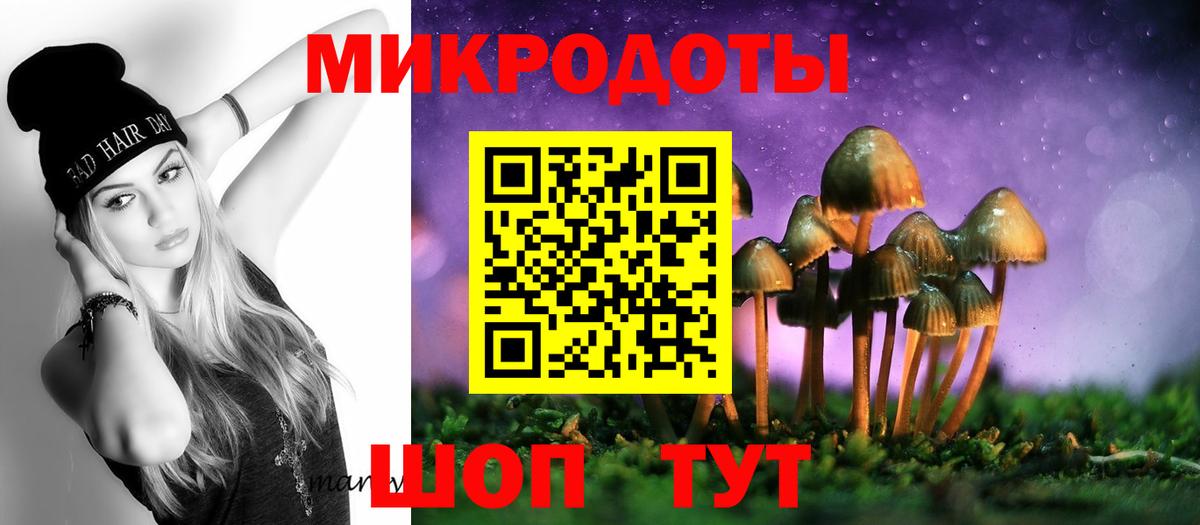 Галлюциногенные грибы мухоморы Тайшет